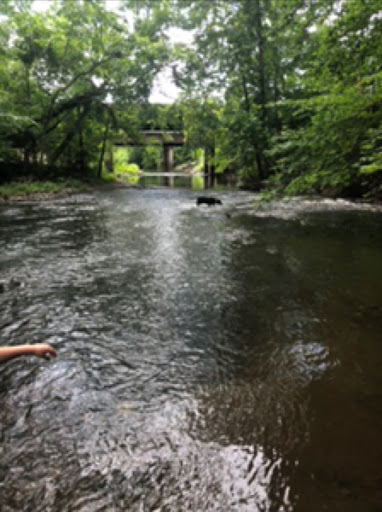 Park «Smith Lake Park», reviews and photos, 370 Doc Stone Rd, Stafford, VA 22556, USA