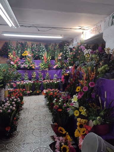 Floreria Lupita – Cuernavaca