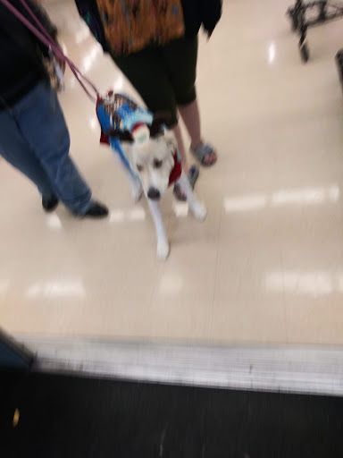 Pet Supply Store «Petco Animal Supplies», reviews and photos, 3055 N President George Bush Hwy, Garland, TX 75040, USA