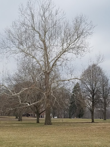 Park «Union Park», reviews and photos, 725 Thompson Ave, Des Moines, IA 50316, USA