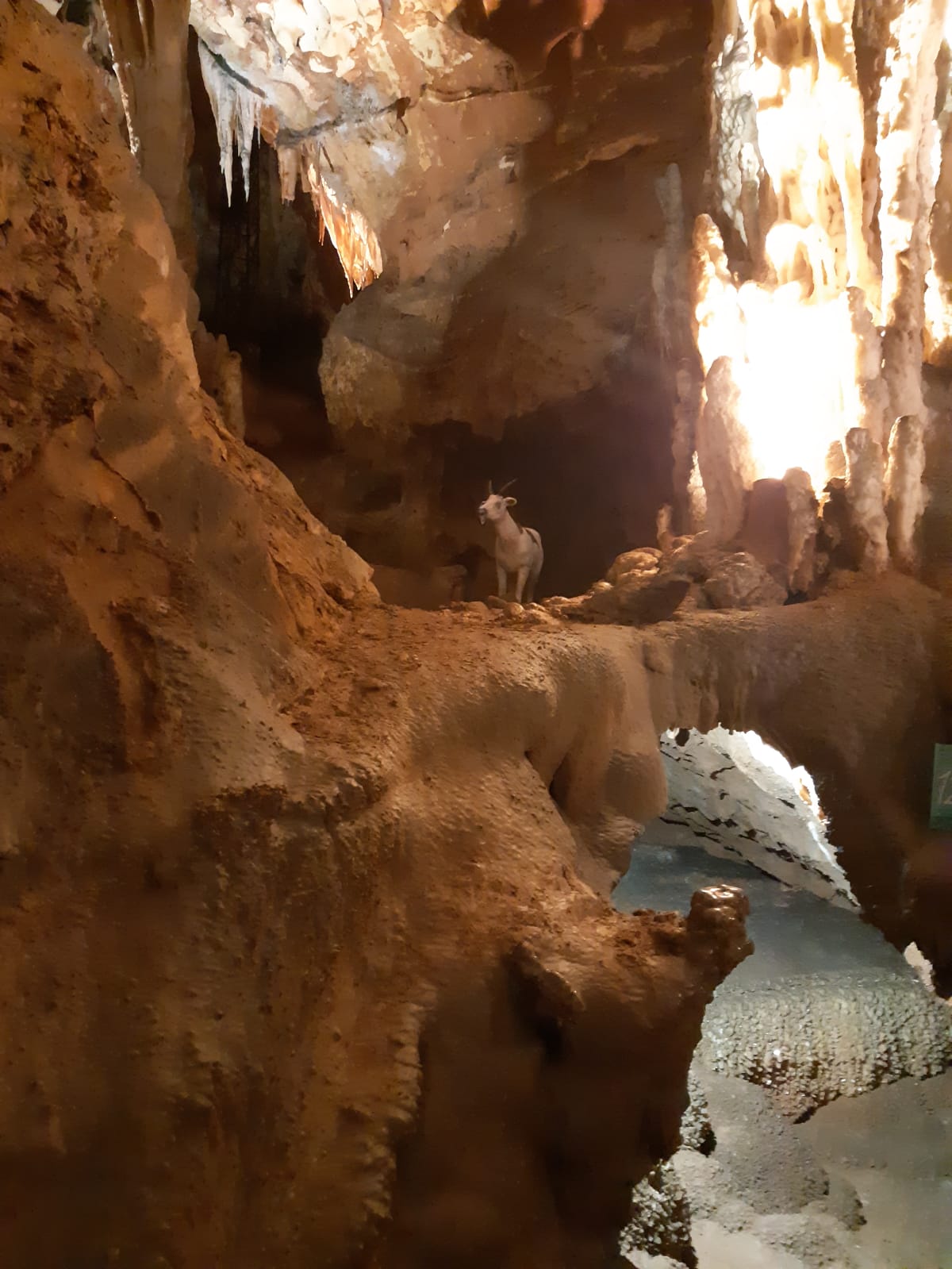 Photo n° 6 de l'avis de Alexandra. fait le 17/08/2021 à 22:21