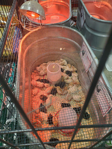 Home Improvement Store «Tractor Supply Co.», reviews and photos, 3001 Homer Adams Pkwy, Alton, IL 62002, USA