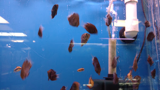 Shopping Mall «Chester Shopping Mall», reviews and photos, 23 W Main St, Chester, NJ 07930, USA