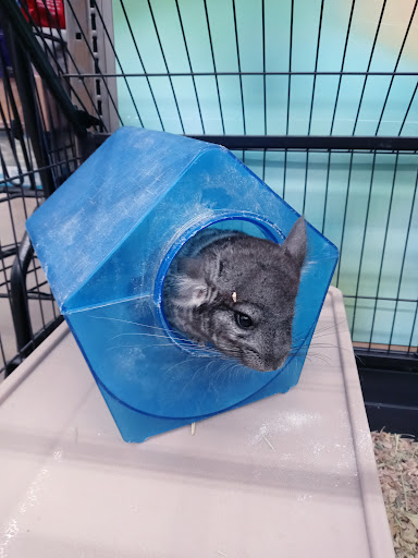 Pet Supply Store «Pet Supplies Plus», reviews and photos, 2927 Riley Fuzzel Rd #400, Spring, TX 77386, USA