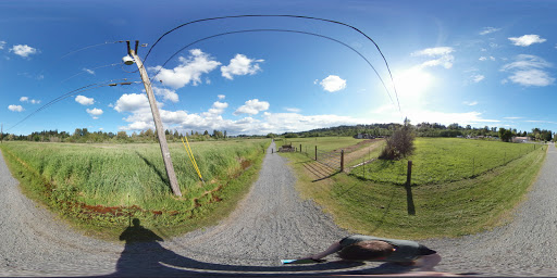 Park «N. Creek Park», reviews and photos, 1011 183rd St SE, Bothell, WA 98012, USA