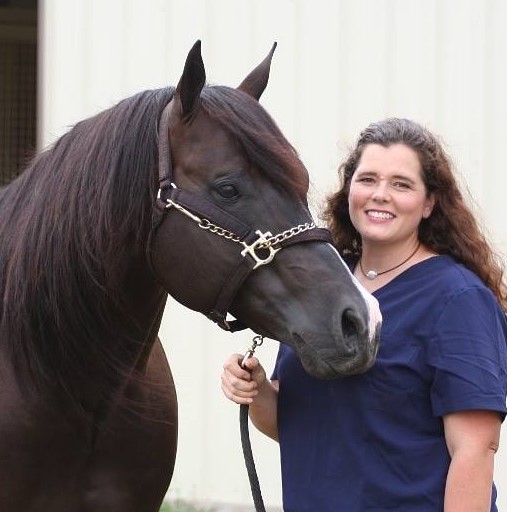 Equanimity Equine Internal Medicine image