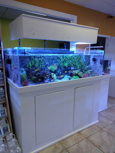 Tropical Fish Store «Amazing Aquariums & Reefs», reviews and photos, 646 E Katella Ave, Orange, CA 92867, USA