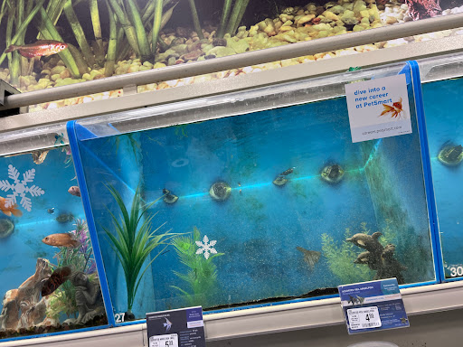 Pet Supply Store «PetSmart», reviews and photos, 1125 Hover St, Longmont, CO 80501, USA