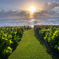 Landscape Health Solutions - Photo 8 - Car repair in Fort Lauderdale, FL, Pompano Beach