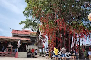 Sekinchan Wishing Tree image