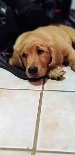 Pet Supply Store «Pet Supplies Plus», reviews and photos, 1510 Scranton Carbondale Hwy, Scranton, PA 18508, USA