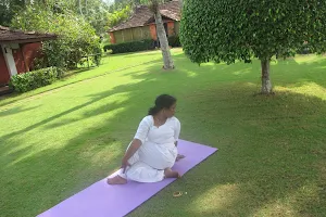 Sivananda Yoga image
