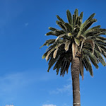 Photo n°4 de l'avis de Young.u fait le 02/11/2021 à 11:25 sur le  Miramare Hotel à Rapallo