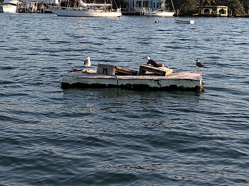 Tour Agency «Duck Tours-South Beach», reviews and photos, 1661 James Ave, Miami Beach, FL 33139, USA