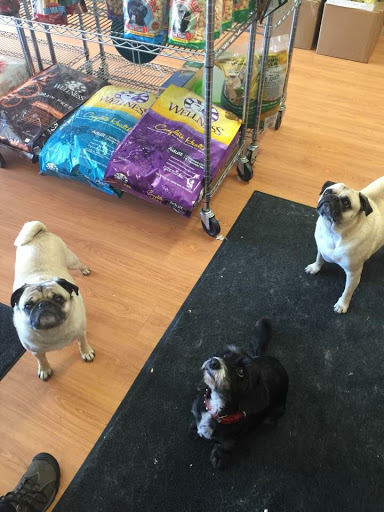 Pet Groomer «Spoiled Petz Pet Store and Grooming», reviews and photos, 12030 Donner Pass Rd #1, Truckee, CA 96161, USA