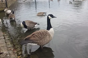 Three Kings Pond image