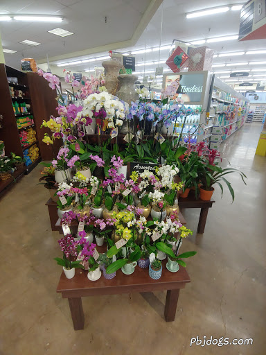 Grocery Store «King Soopers», reviews and photos, 3050 W Northern Ave, Pueblo, CO 81005, USA