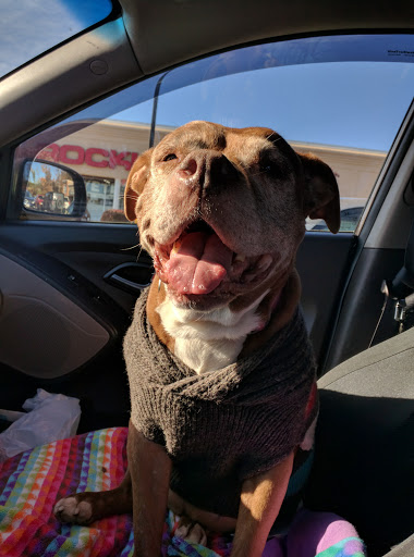 Fabric Store «Jo-Ann Fabrics and Crafts», reviews and photos, 433 Center St B, Ludlow, MA 01056, USA