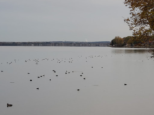 Park «Hudson Park», reviews and photos, 2919 Lakeland Ave, Madison, WI 53704, USA