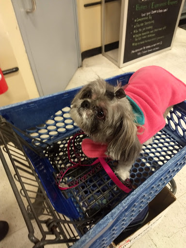 Pet Supply Store «PetSmart», reviews and photos, 45050 Northpointe Blvd, Utica, MI 48315, USA