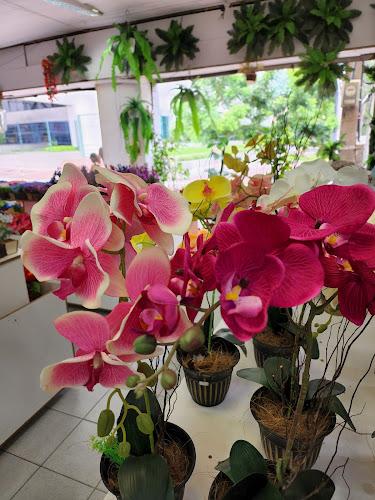Avaliações sobre FLORICULTURA ORIENTAL em Fortaleza - Floricultura