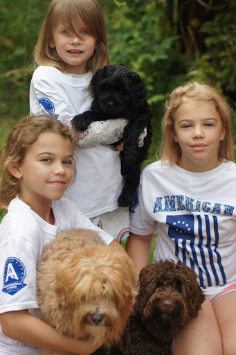 Gun Shop «American Arms», reviews and photos, 4545 IN-45, Bloomington, IN 47403, USA