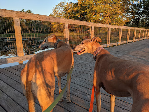 Park «Lake Elmo Park Reserve», reviews and photos, 1515 Keats Ave N, Lake Elmo, MN 55042, USA