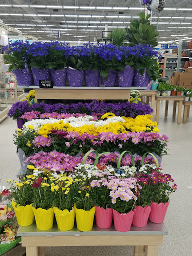 Grocery Store «Meijer», reviews and photos, 13000 Middlebelt Rd, Livonia, MI 48150, USA