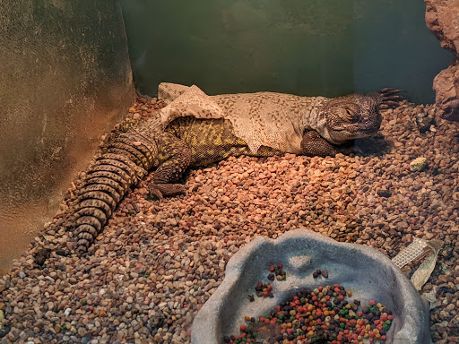 Pet Store «Aqua World Pet Super Center», reviews and photos, 8143 Ohio River Blvd, Pittsburgh, PA 15202, USA