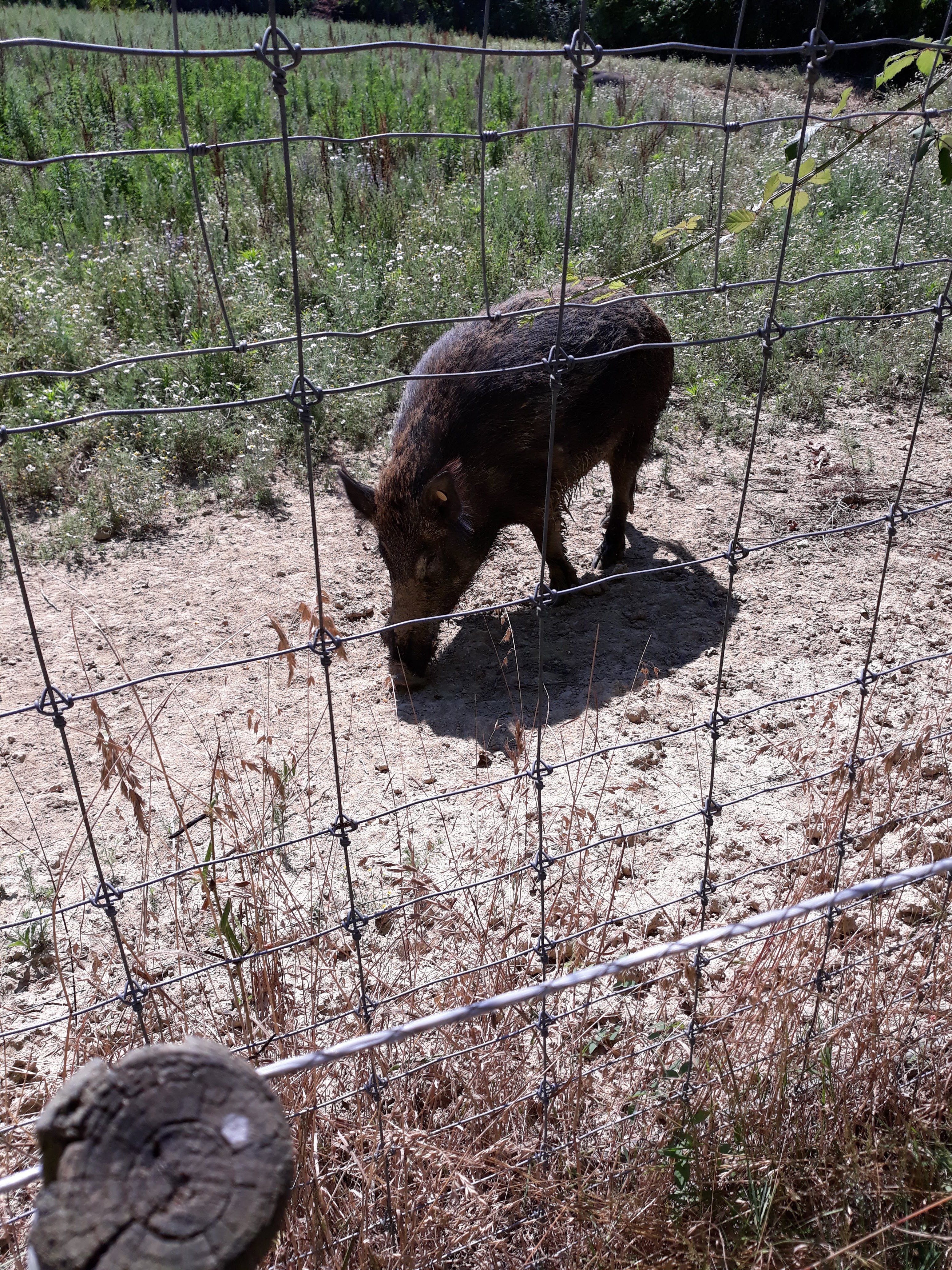 Photo n° 1 de l'avis de Jocelyne.E fait le 17/07/2018 à 16:07