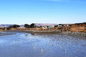 Oyster Bay Regional Shoreline