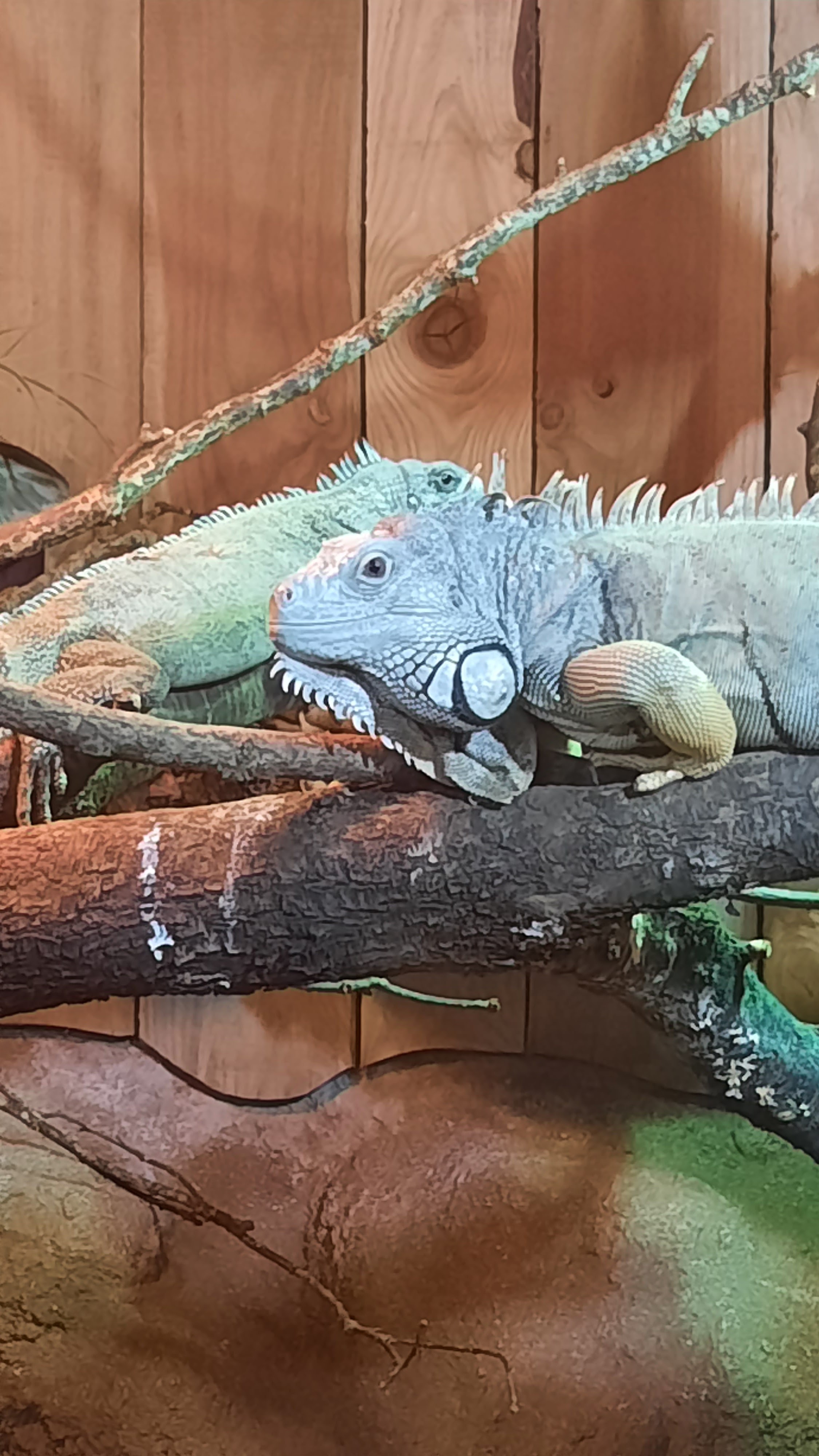 Photo n° 1 de l'avis de Pauline.l fait le 04/08/2023 à 10:04