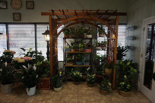 Florist «Carrollwood Florist», reviews and photos, 11745 N Dale Mabry Hwy, Tampa, FL 33618, USA