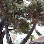 Photo n°6 de l'avis de Antonella.o fait le 14/05/2019 à 06:41 sur le  Ristorante La Vedetta à Alassio