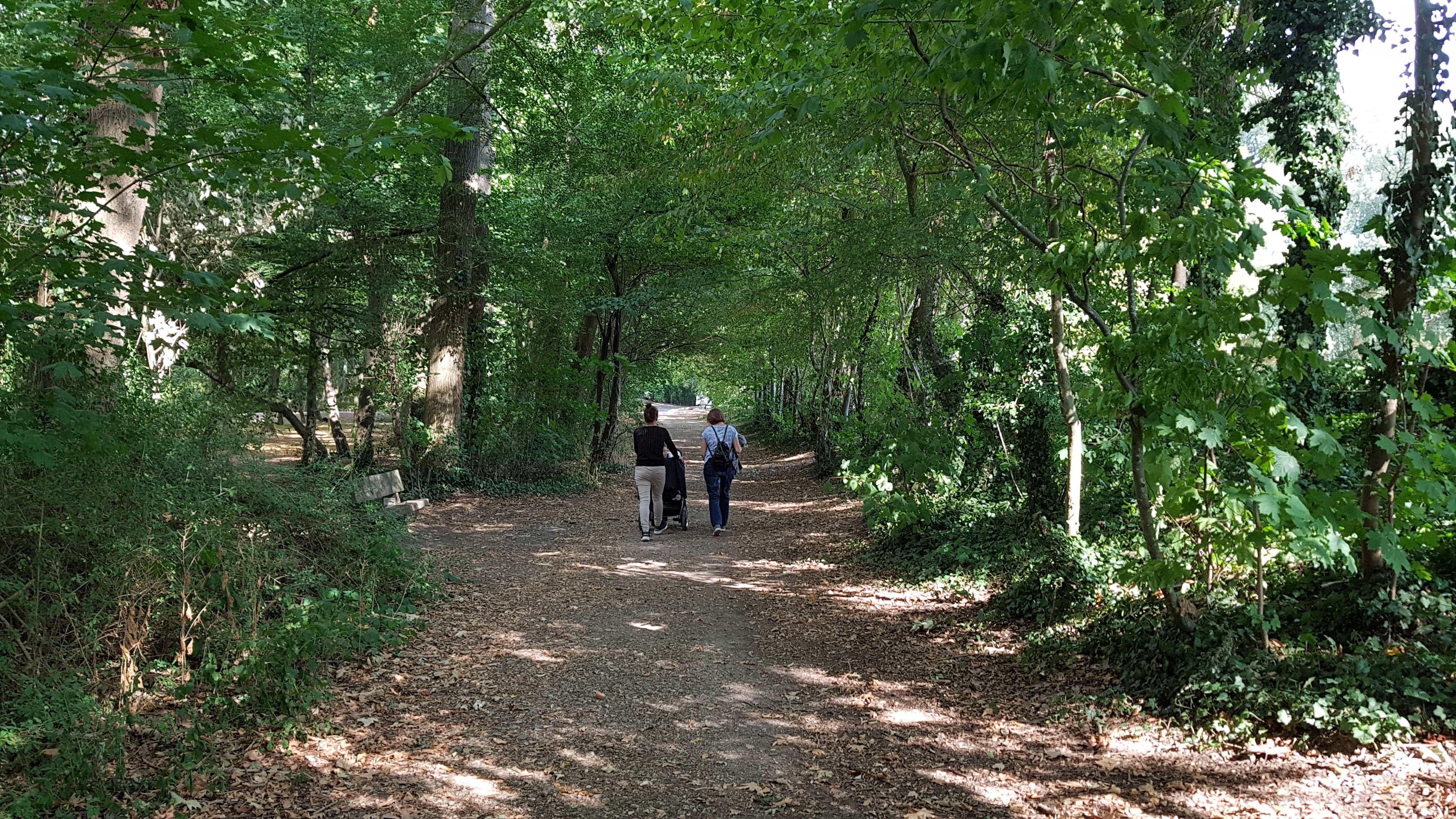 Photo n° 6 de l'avis de Jacques.e fait le 03/09/2018 à 09:34