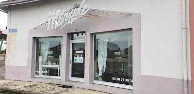 Métropole à Aire-sur-l'Adour