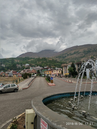 Üzümlü Devlet Hastanesi