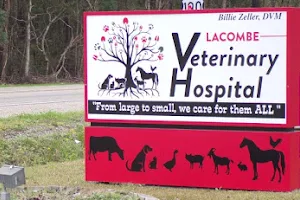 Lacombe Veterinary Hospital image