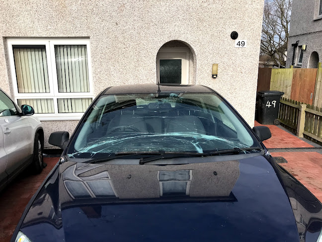 Glass monkey windscreens - Auto glass shop