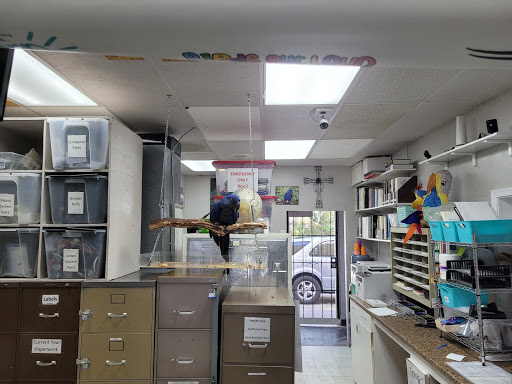 Bird Shop «Arizona Bird Store», reviews and photos, 565 S Dobson Rd, Mesa, AZ 85202, USA