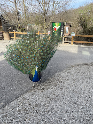 Zoo «Living Treasures Animal Park», reviews and photos, 288 PA-711, Jones Mills, PA 15646, USA