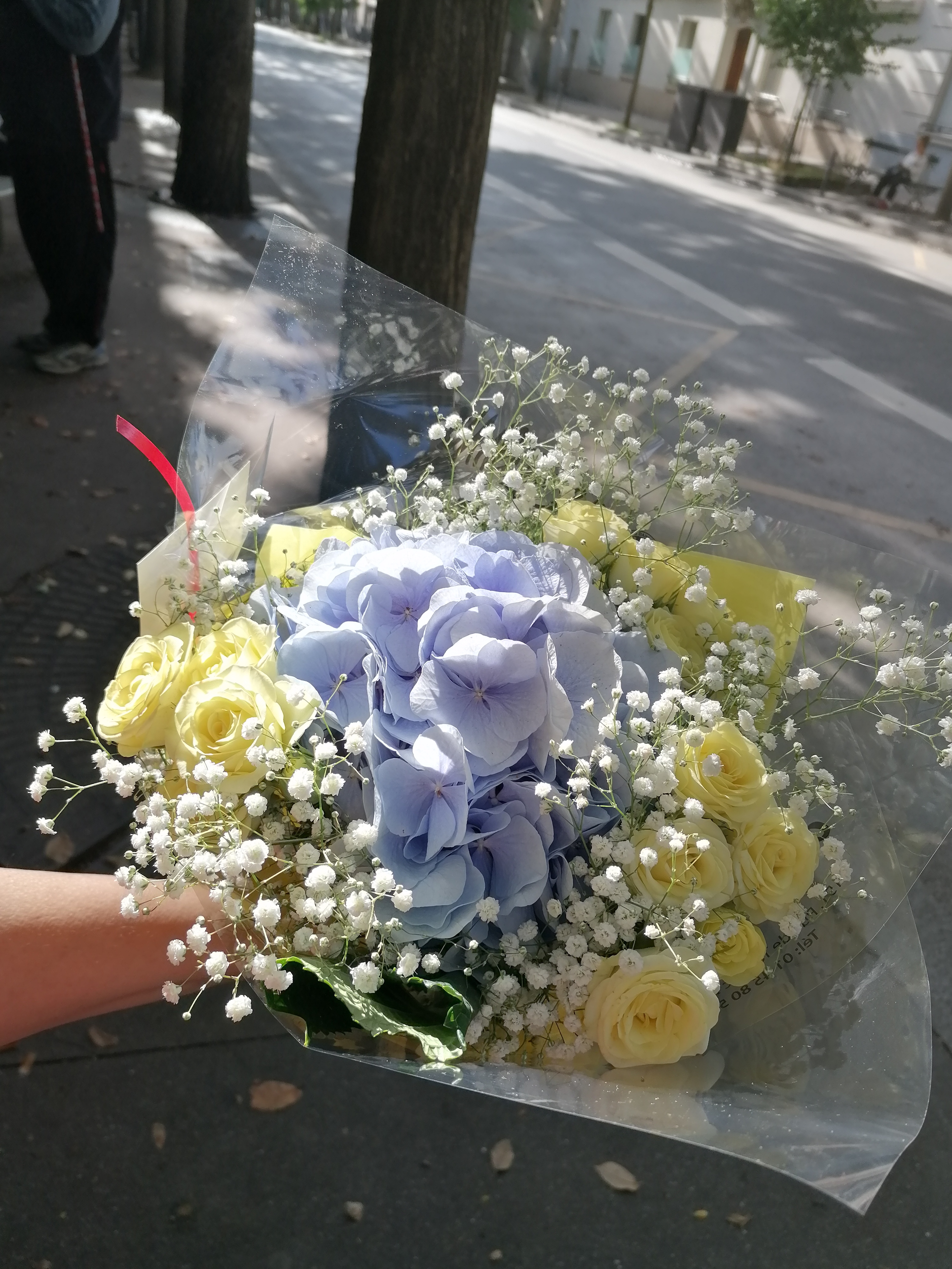 Photo n° 2 de l'avis de Roya.a fait le 21/08/2023 à 13:15
