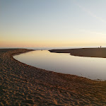 Photo n°9 de l'avis de Alessandra.o fait le 02/07/2019 à 08:39 sur le  Wild Beach Bar à Marina di Castagneto Carducci