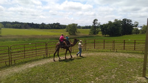 Zoo «Trowbridge Creek Zoo», reviews and photos, 50622 Co Rd 17, Vergas, MN 56587, USA