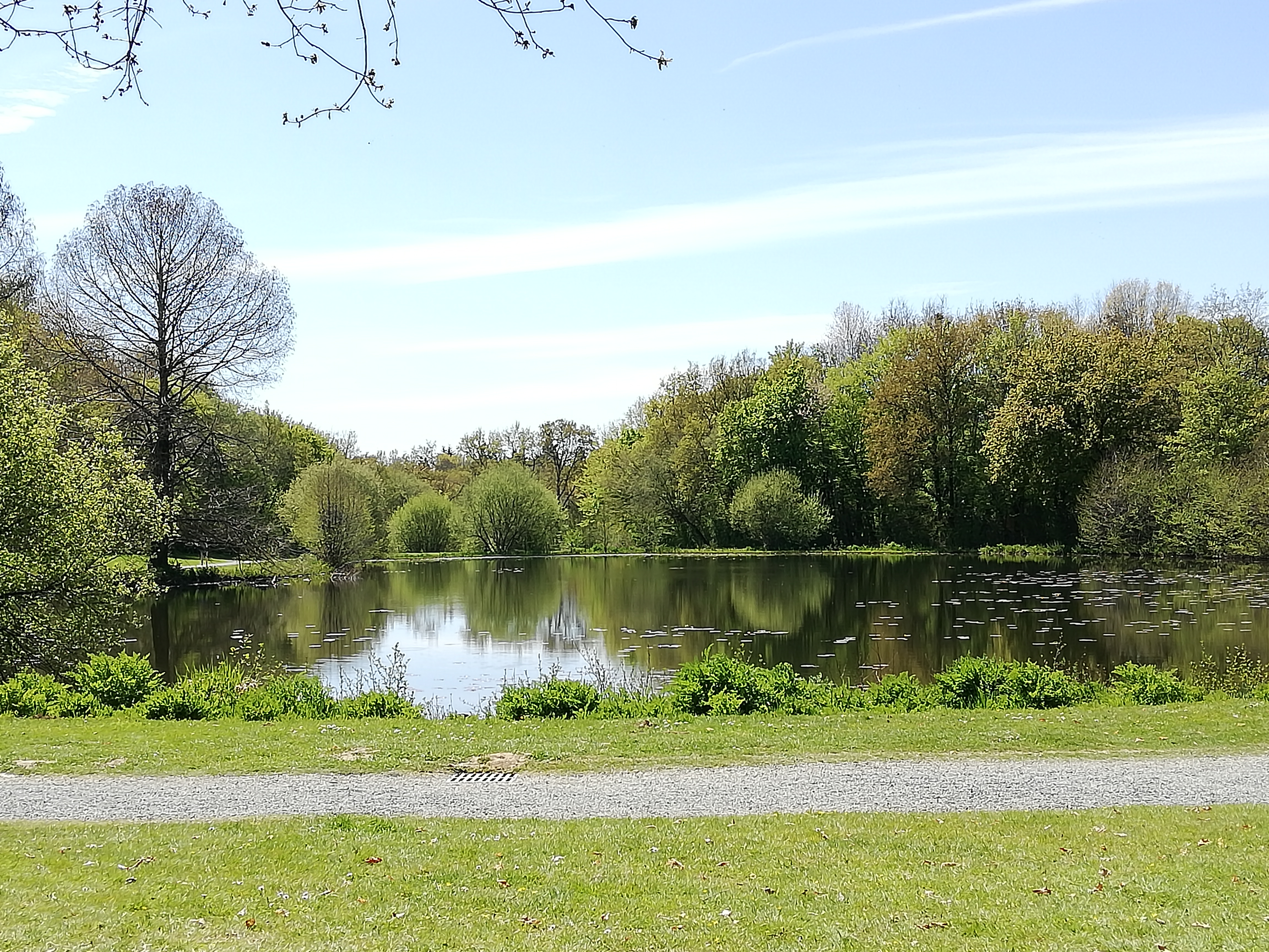 Photo n° 1 de l'avis de Nadege.o fait le 22/04/2021 à 16:24