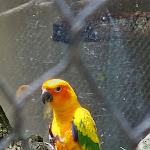 Photo n° 9 de l'avis de Arbey.n fait le 11/07/2023 à 17:07 pour ZooParc de Beauval Entrée Nord à Saint-Aignan