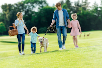 Matthew Devan at Comparion Insurance Agency - Photo 4 - Car repair in Charlotte, NC, Charlotte