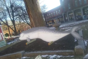 Downtown Waterville Farmers' Market image