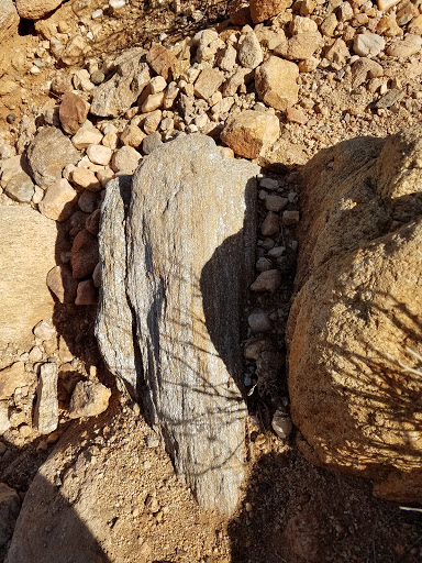 Tourist Attraction «Linda Vista Trail», reviews and photos, 730 E Linda Vista Rd, Oro Valley, AZ 85737, USA