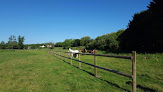 HARAS DE LA FRESNAY Houdan